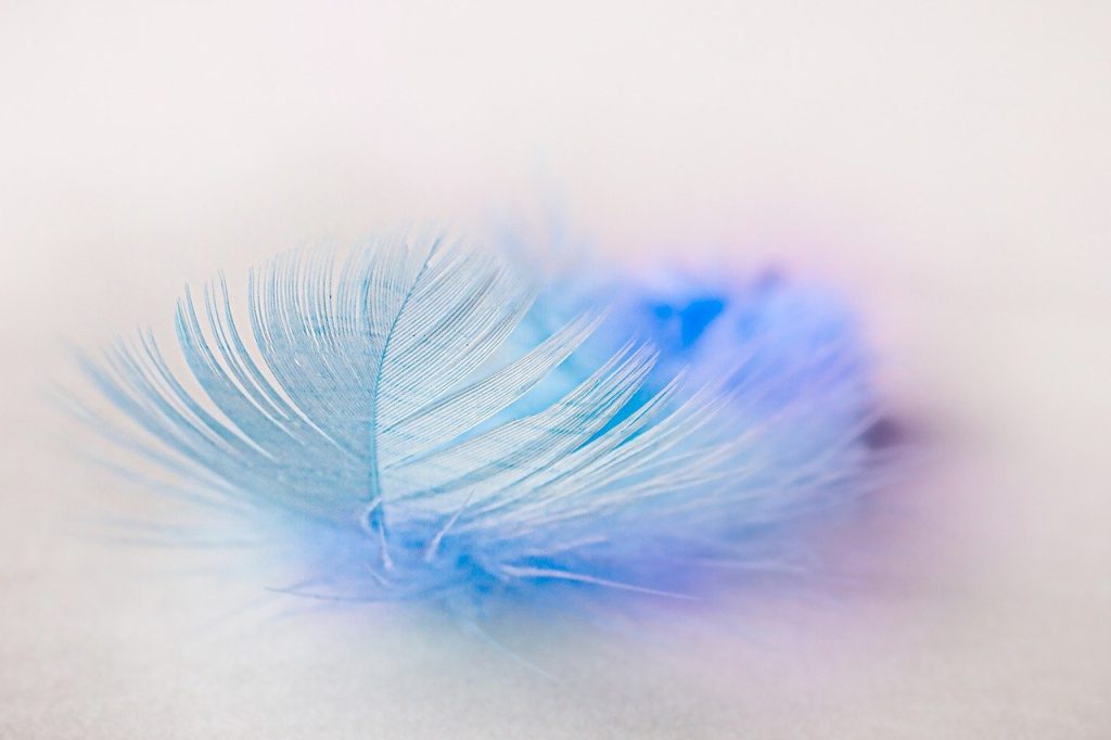 Plumes bleutée symbolisant la légèreté