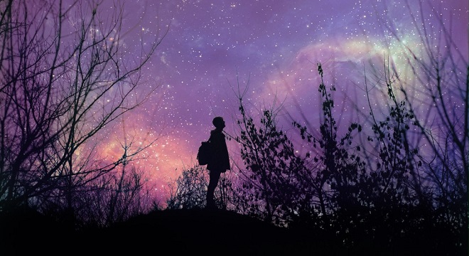 Silhouette d'un homme dans la végétation sous un ciel pourpre étoilé