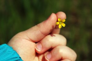 main d'enfant tenant une petite fleur jaune