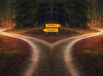 Un chemin qui se sépare en deux avec des panneaux incitant à faire un choix de direction à prendre