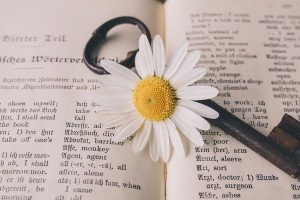 Une fleur, sur une clé, sur un livre