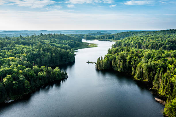 Une rivière entouré de forêt