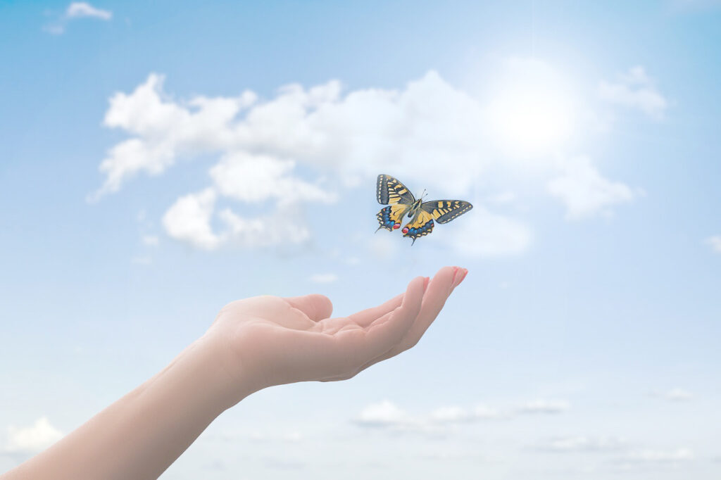 Une main qui laisse s'échapper un papillon