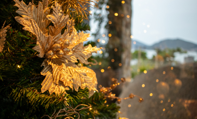Gros plan sur des décorations de noel sur un sapin