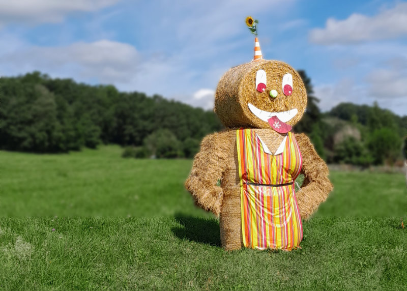Un bonhomme en paille, dans une prairie