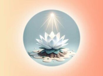 Une lumière au-dessus d'une fleur de Lotus