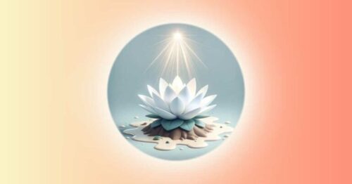 Une lumière au-dessus d'une fleur de Lotus