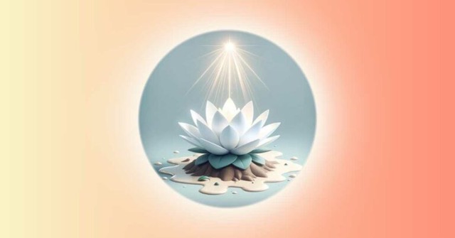 Une lumière au-dessus d'une fleur de Lotus