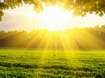 soleil plongeant sur la nature