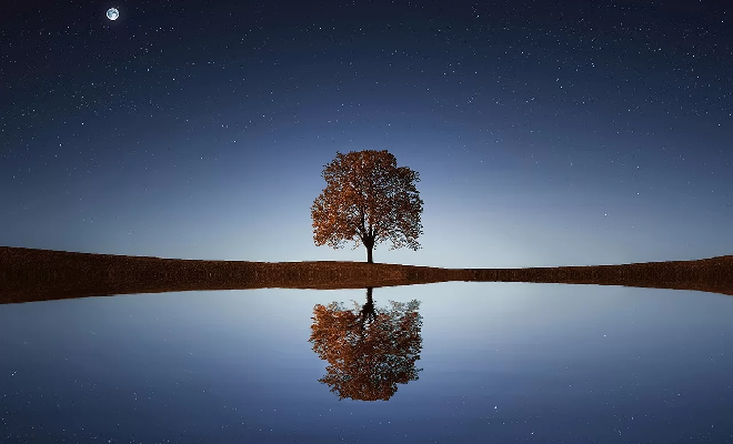 Un arbre qui se reflète sur la surface plane d'un lac sous un ciel étoilé