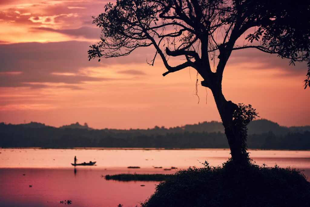 Silhouette d'un arbre au bord du lac et d'un pêcheur en bateau lors d'un coucher de soleil aux couleurs éclatantes, au Sri Lanka.