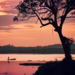 Silhouette d'un arbre au bord du lac et d'un pêcheur en bateau lors d'un coucher de soleil aux couleurs éclatantes, au Sri Lanka.