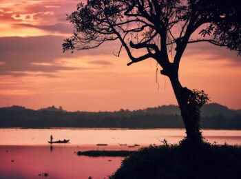 Silhouette d'un arbre au bord du lac et d'un pêcheur en bateau lors d'un coucher de soleil aux couleurs éclatantes, au Sri Lanka.