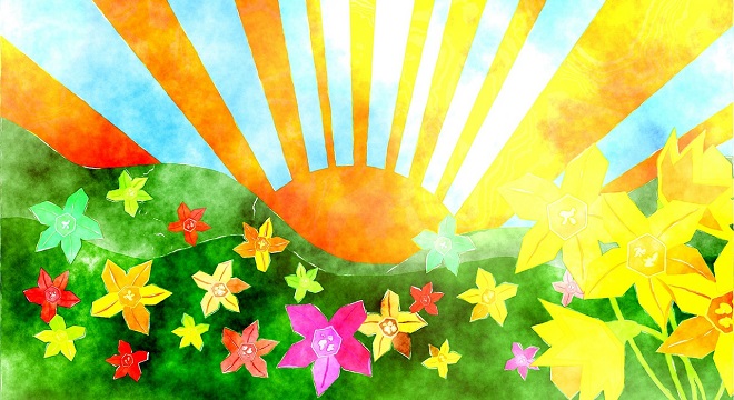 fleurs et soleil