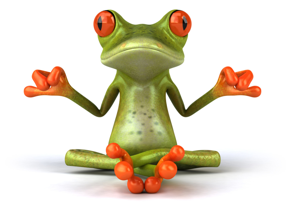 grenouille yogi
