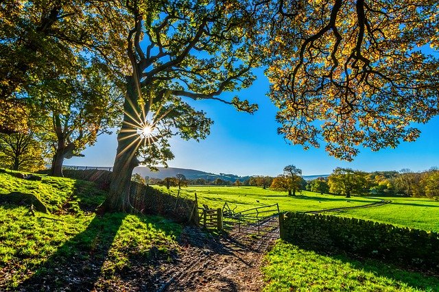 nature
